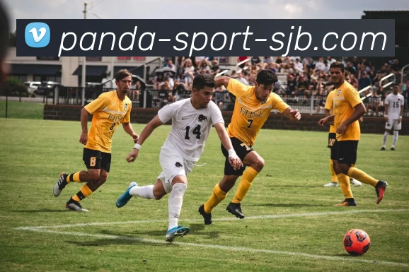 熊猫体育，熊猫体育，熊猫体育官网，熊猫体育入口，熊猫体育APP平台生态图