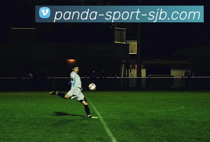 熊猫体育，熊猫体育，熊猫体育官网，熊猫体育入口，熊猫体育APPAPP 封面图